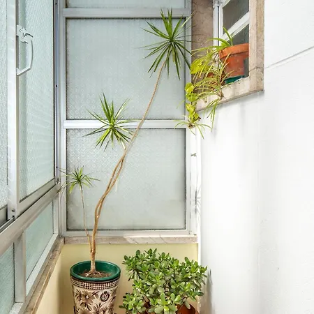 Casa De Beijing ,near Airport-expo 리스본